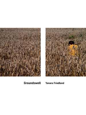 Image for Groundswell Groundswell
