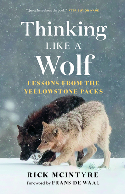 Thinking Like a Wolf: Lessons from the Yellowstone Packs