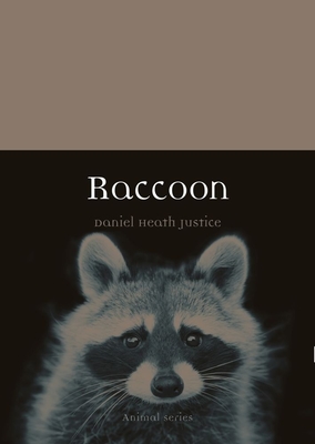 Raccoon (Animal)