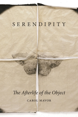 Image for Serendipity: The Afterlife of the Object Serendipity: The Afterlife of the Object