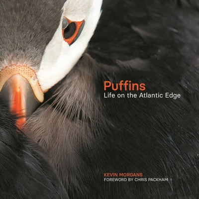 Image for Puffins: Life on the Atlantic Edge Puffins: Life on the Atlantic Edge