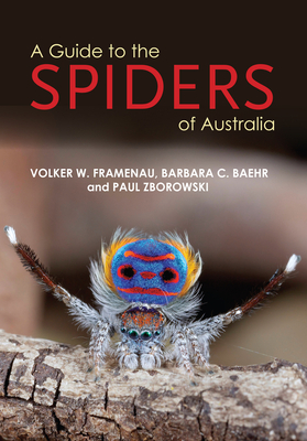 Image for A Guide to the Spiders of Australia