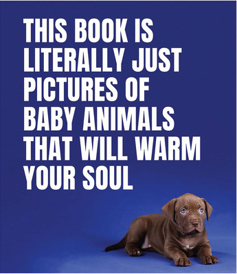 This Book is Literally Just Pictures of Animals Silently Judging You