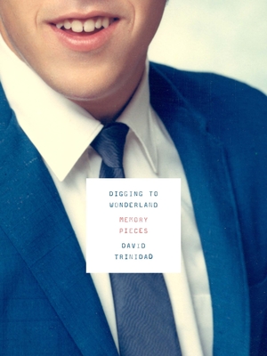 Image for Digging to Wonderland: Memory Pieces Digging to Wonderland: Memory Pieces