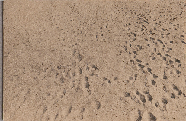 Anthony Hernandez: Beach Pictures, 1969-70