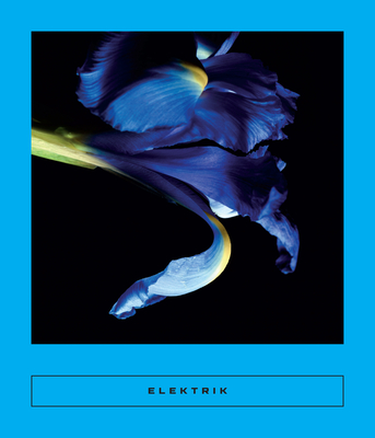 Image for Elektrik: Caribbean Writing Elektrik: Caribbean Writing