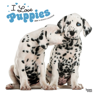 Image for I Love Puppies 2024 12 x 24 Inch Monthly Square Wall Calendar BrownTrout Animals Dog Breeds I Love Puppies 2024 12 x 24 Inch Monthly Square Wall Calendar BrownTrout Animals Dog Breeds