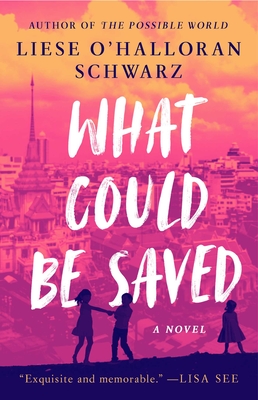 What Could Be Saved: A Novel