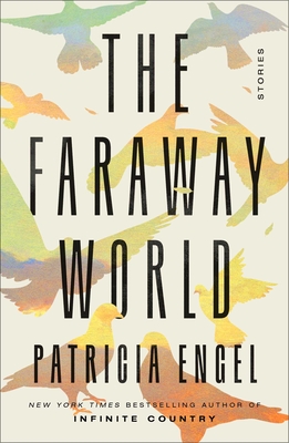 Image for The Faraway World: Stories