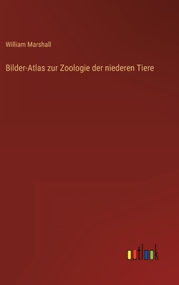 Bilder-Atlas zur Zoologie der niederen Tiere