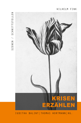 Krisen Erzahlen (Szenen/Schnittstellen) (German Edition)